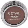Luminous Finish Blusher 06 Brick Red